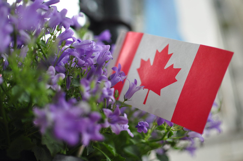 Farm Access 06/30 - Lavender Festival - Monday, June 30, 2025