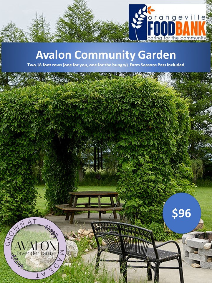 Community Garden Spot